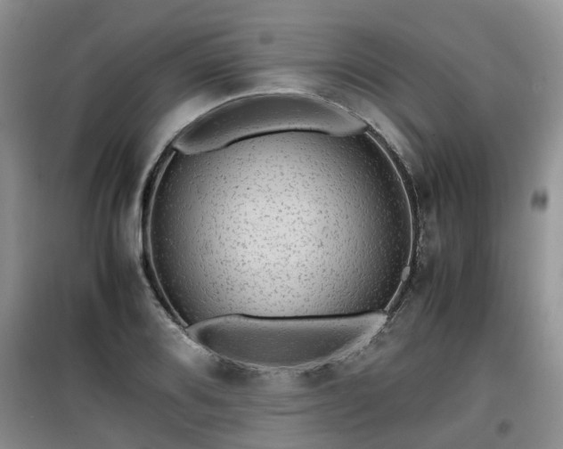X0000099491080200805221332