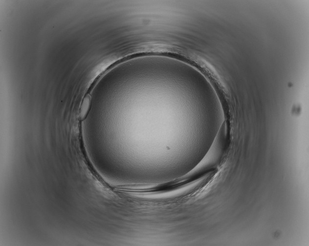X0000099491081200805221332