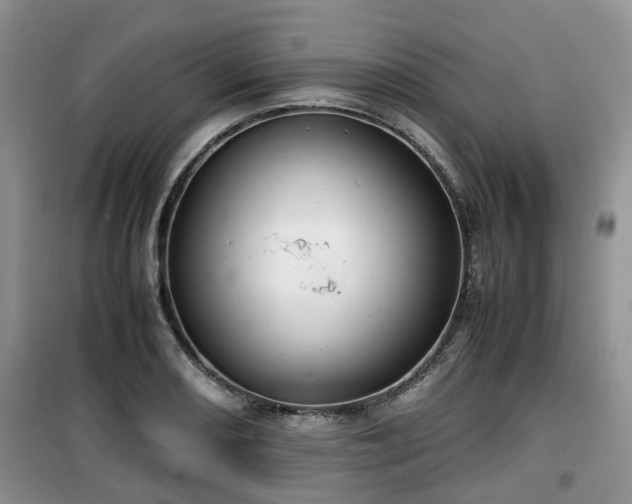 X0000099491082200805221332