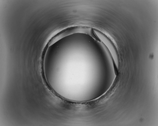 X0000099491085200805221332