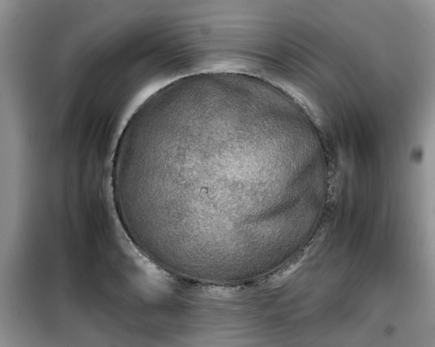 X0000099491086200805221332