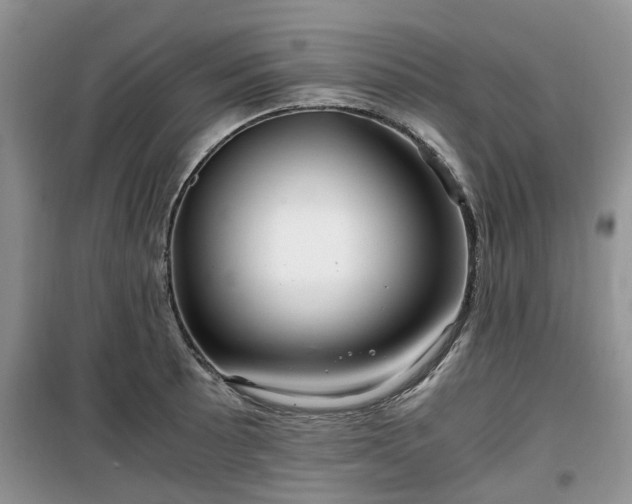 X0000099491089200805221332