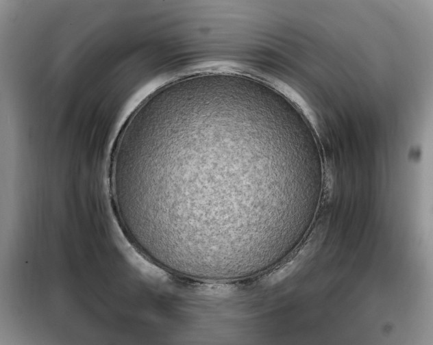 X0000099491090200805221332