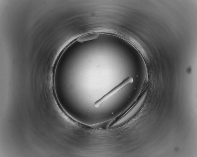 X0000099491092200805221332