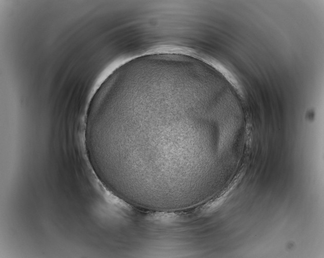 X0000099491094200805221332