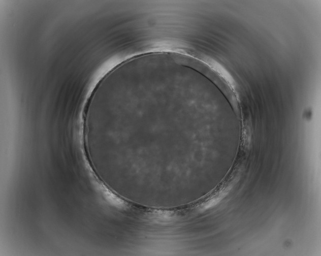 X0000099491096200805221332