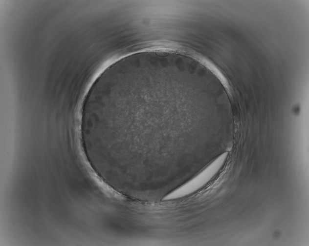 X0000099491099200805221332