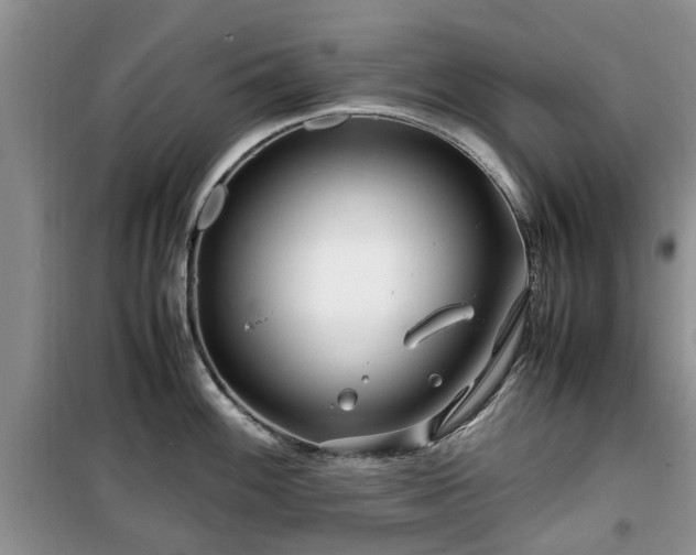 X0000099491100200805221332