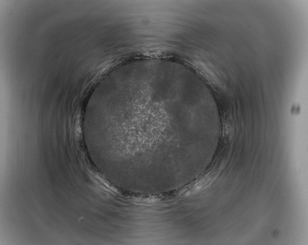 X0000099491106200805221331