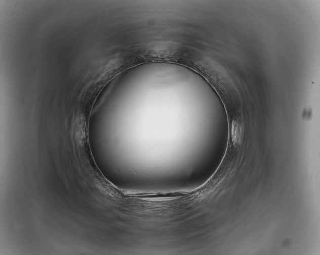 X0000099491107200805221331