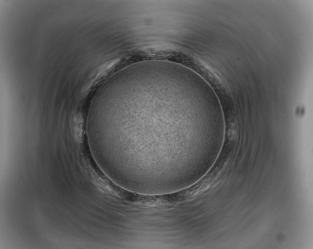 X0000099491108200805221331