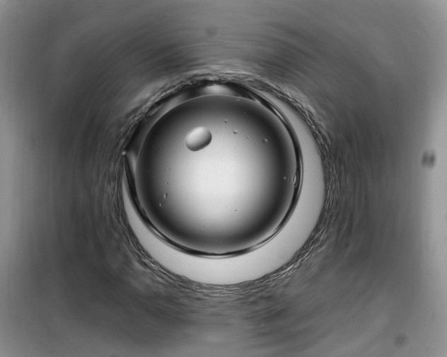 X0000099491110200805221331