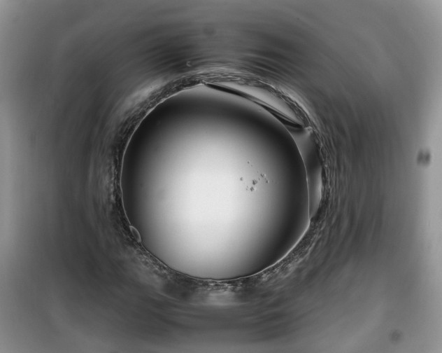 X0000099491111200805221331