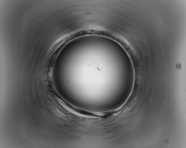 X0000099491112200805221331