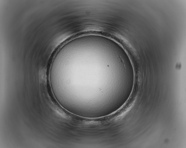 X0000099491113200805221331