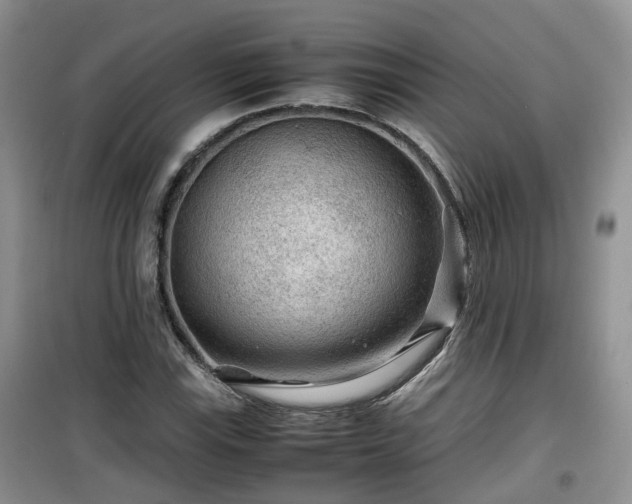 X0000099491115200805221331
