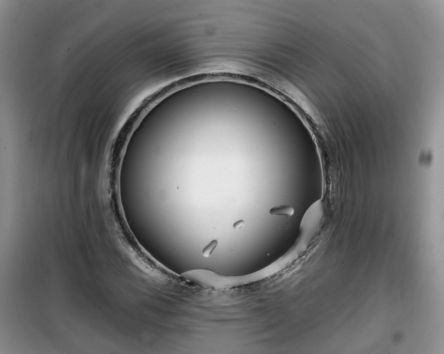 X0000099491116200805221331