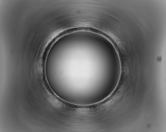 X0000099491118200805221331