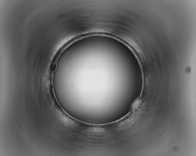 X0000099491119200805221331