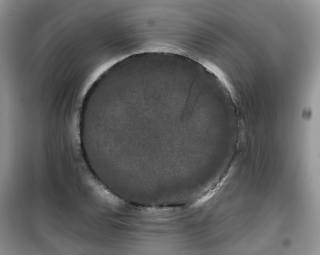X0000099491120200805221331