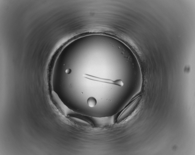 X0000099491122200805221331