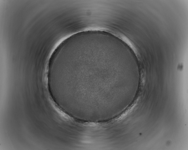 X0000099491124200805221331