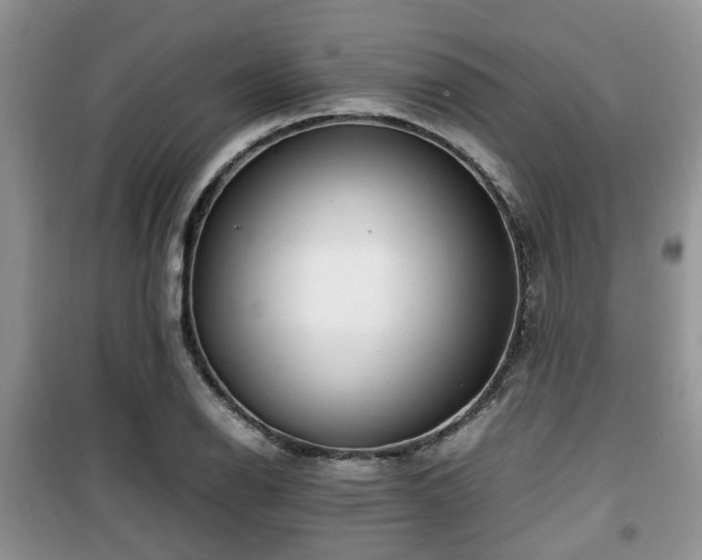 X0000099491126200805221331