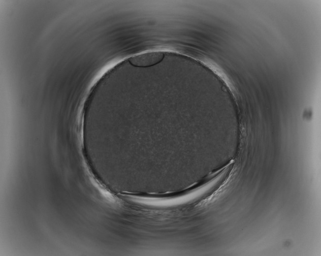 X0000099491127200805221332