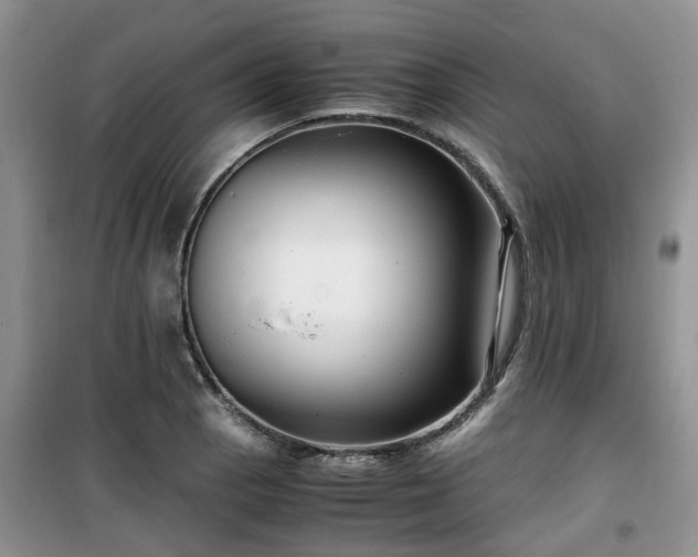 X0000099491129200805221332