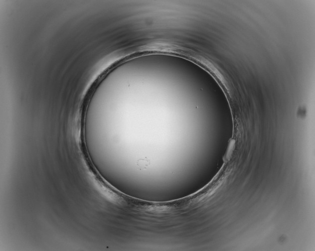 X0000099491131200805221332