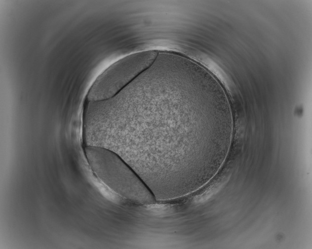 X0000099491132200805221332