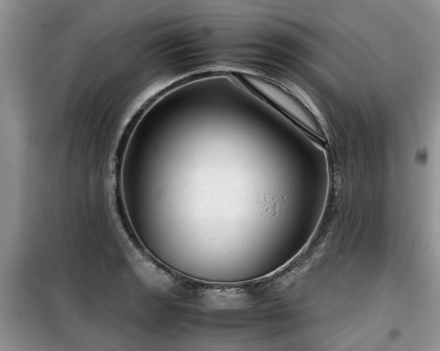X0000099491133200805221332