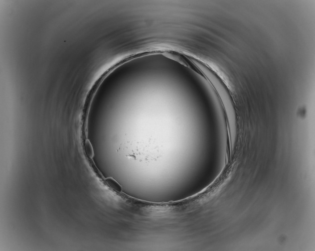 X0000099491134200805221332