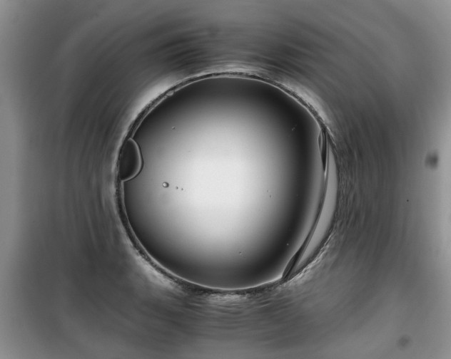 X0000099491135200805221332