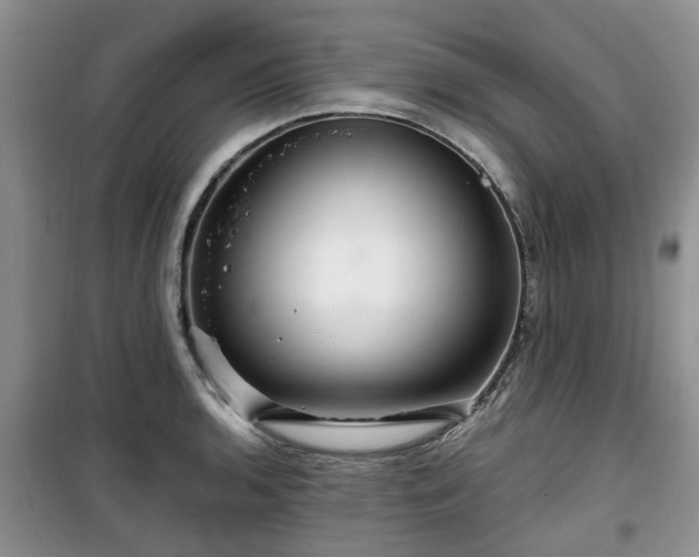 X0000099491136200805221332