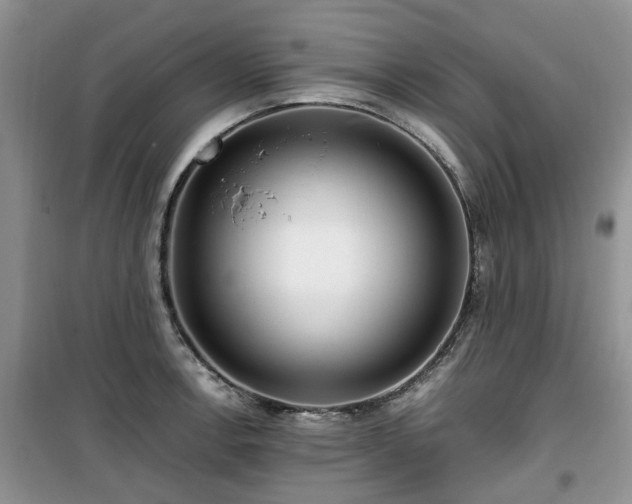X0000099491138200805221332