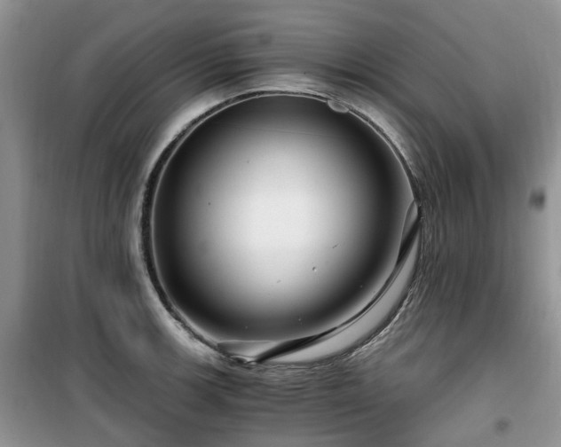 X0000099491139200805221332