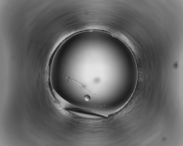 X0000099491140200805221332