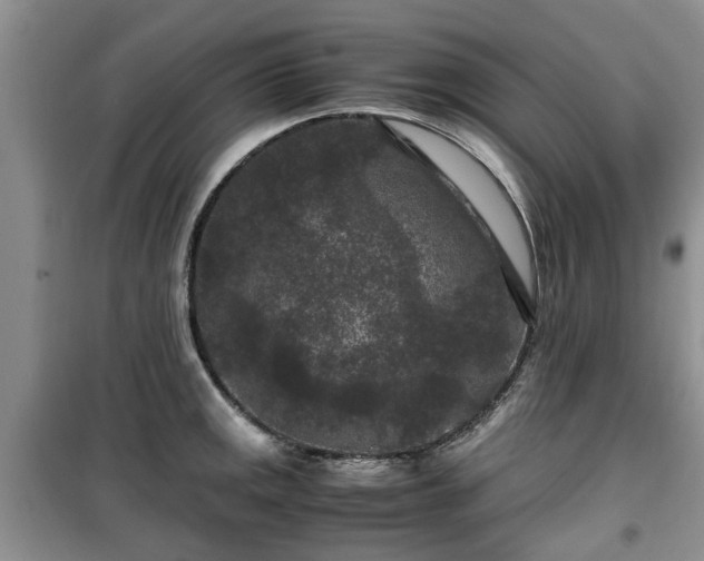 X0000099491141200805221332