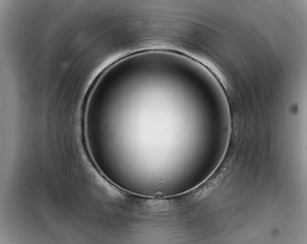 X0000099491142200805221332