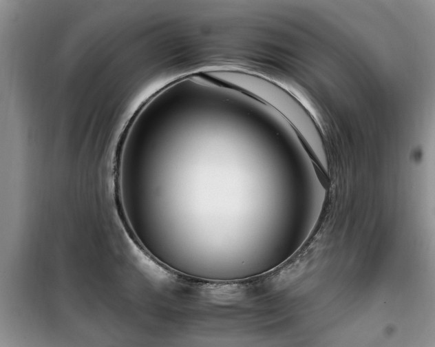 X0000099491143200805221332