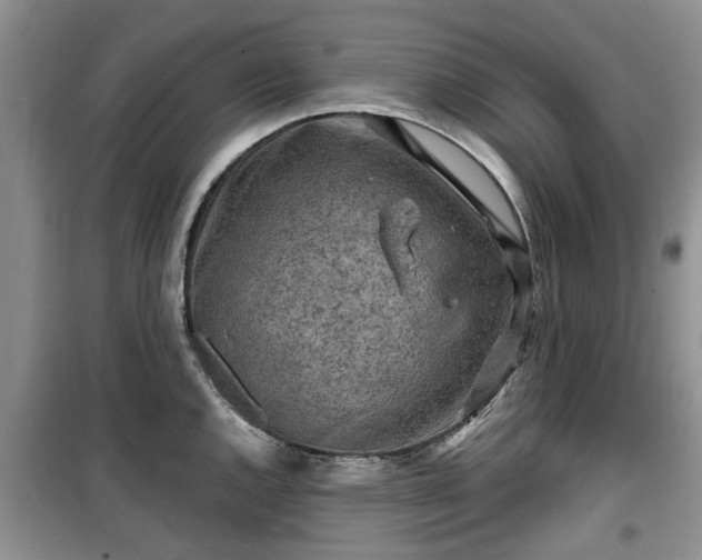 X0000099491144200805221332