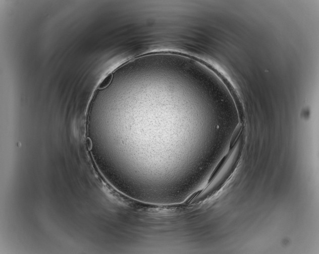 X0000099491145200805221332