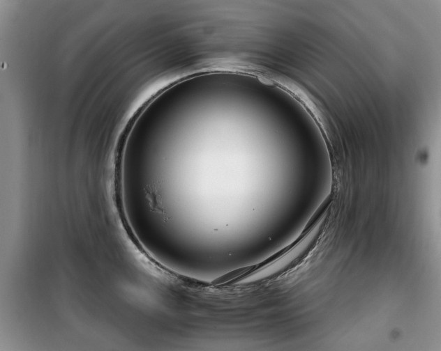 X0000099491147200805221332