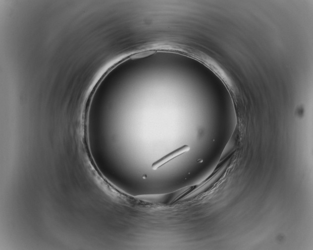 X0000099491148200805221332