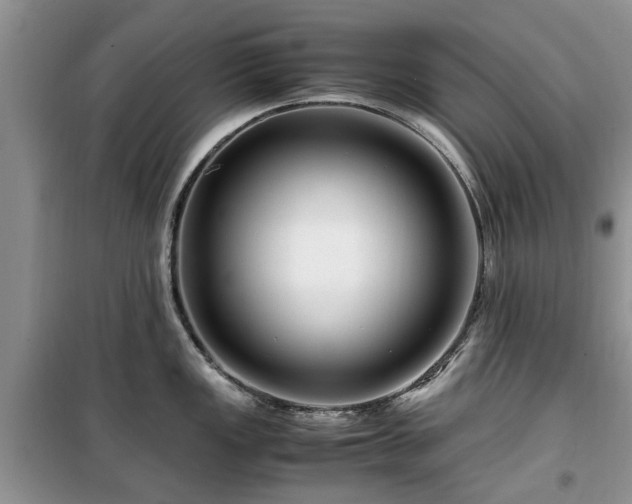 X0000099491149200805221332