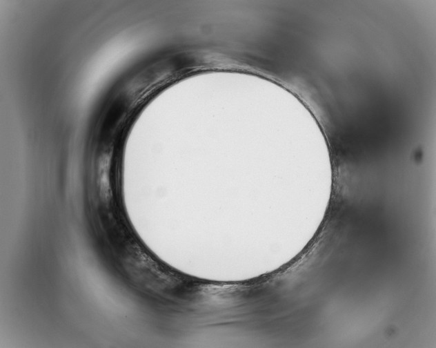 X0000099491150200805221332