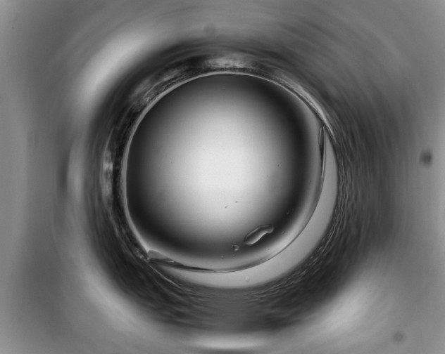 X0000099491151200805221332