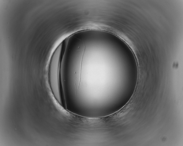 X0000099491152200805221332