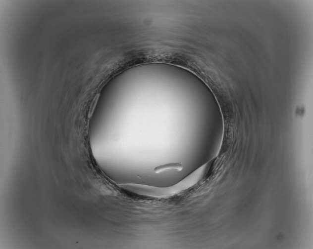 X0000099491153200805221331